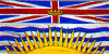 BC Flag